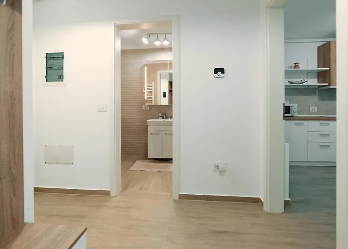 公寓 Sweet Memories Coresi 1 布拉索夫