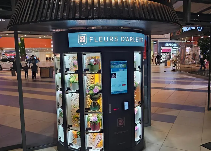 Sweet Memories Coresi 1 * 布拉索夫